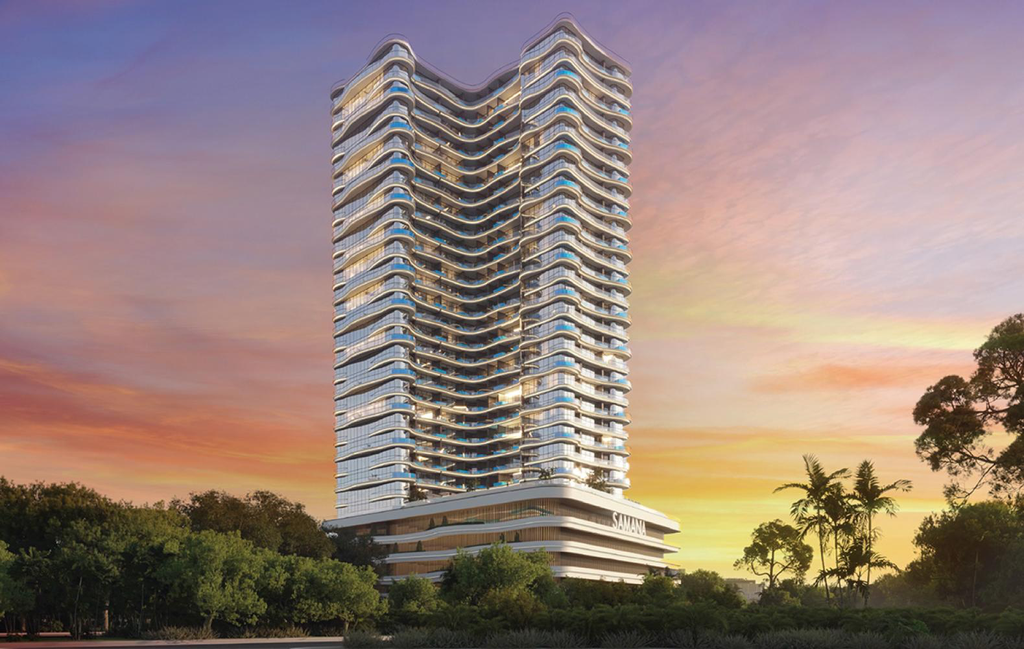 SAMANA BARARI VIEW 2